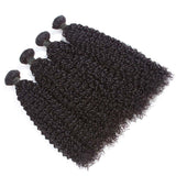 Kinky Curly Virgin Human Hair Natural Black Bundles